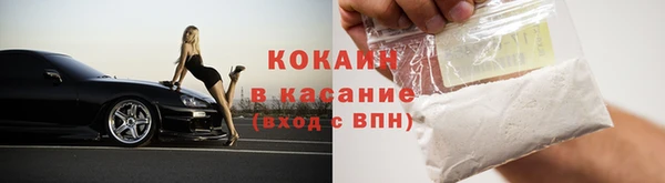 индика Сосновоборск