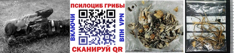 Галлюциногенные грибы MAGIC MUSHROOMS  мега маркетплейс  Ленинградская 